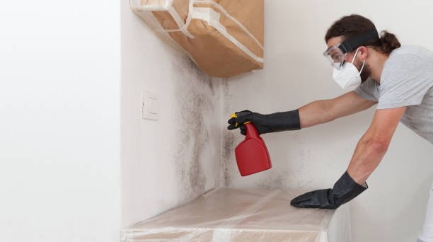 Professional Mold Removal technician working in Franklin, KY