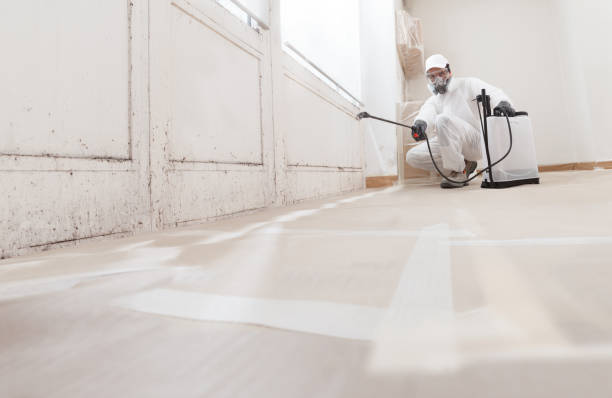 24/7 Emergency Mold Removal experts in Franklin, KY